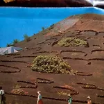 Tatil Evi Casa Victoria Soo